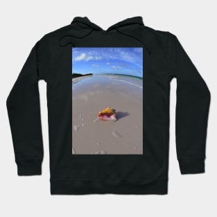 Conch Shell On The Beach in the Bahamas Hoodie